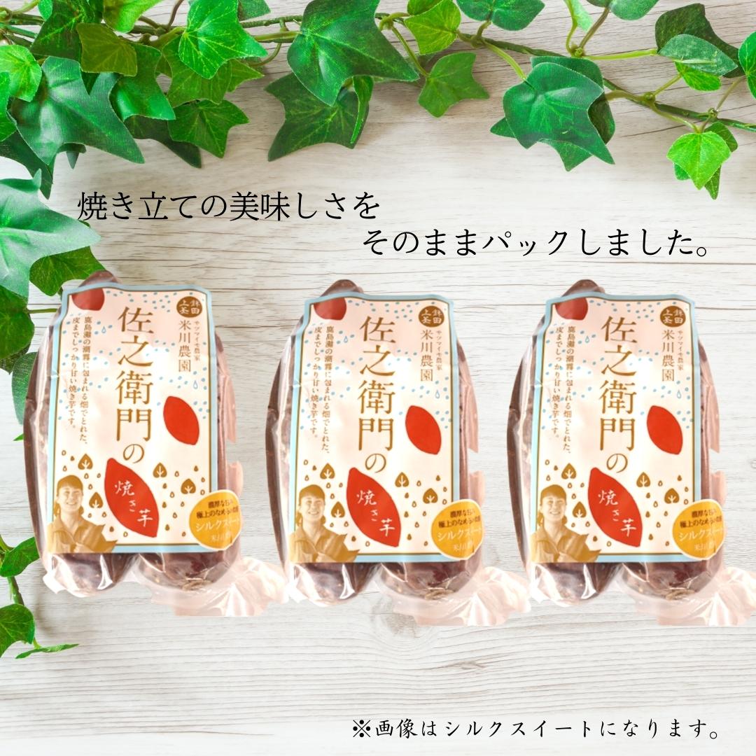 佐之衛門の焼き芋（シルクスイート）約2kg／6本入り