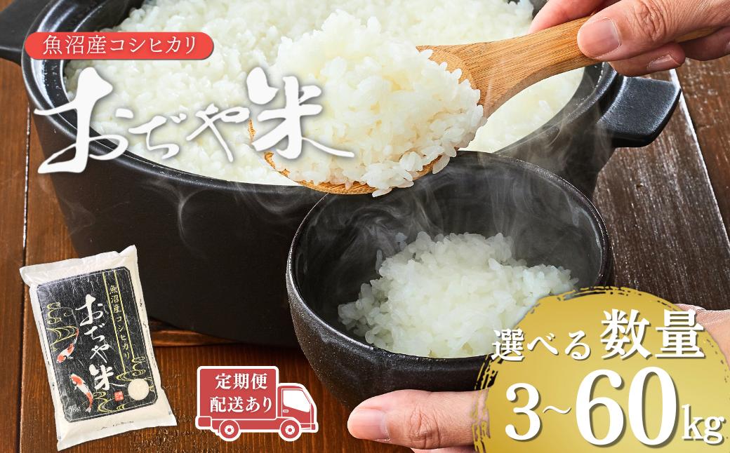 
            令和7年産 魚沼産コシヒカリ「おぢや米」 選べる数量・回数計3kg～60kg JA魚沼  新潟県 特Aの魚沼地域 | 新潟県産コシヒカリ 米 お米 こめ こしひかり 魚沼産 小千谷市 白米 精米 ブランド米 特A評価【0002-JA00SV00-01】
          