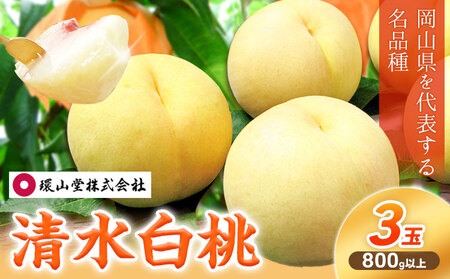 【2026年先行予約】桃 もも 清水白桃 3玉 800g以上 岡山県産 環山堂株式会社【配送不可地域あり】《2026年7月中旬-7月下旬頃出荷》岡山県 浅口市 白桃 果物 フルーツ 送料無料