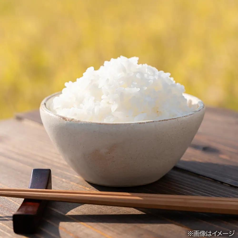 【全6回定期便】 とくべつの中のとくべつ 特別栽培米 5kg 夢つくし 吉富町/(株)やました[BGBX007]