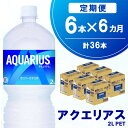 【ふるさと納税】【6か月定期便】アクエリアス PET 2L (6本×6回)【アクエリ スポーツ飲料 夏バテ予防 水分補給 2L 2リットル ペットボトル ペット スポーツ イベント】C2-R090348