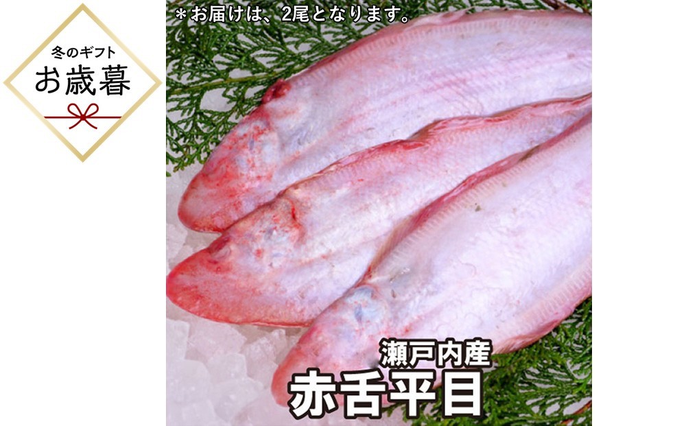 
                  【お歳暮】【処理方法選択可】赤舌平目 2尾（1尾、約250g～300g）れんちょうがれい レンチョウ
                