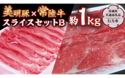 
                  美明豚×常陸牛スライス約1kgセットB 【茨城県共通返礼品/行方市】 ブランド豚 しゃぶしゃぶ SPF 豚肉 モモ [DS004sa]
                