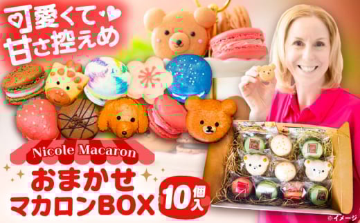 おまかせ マカロンボックス 10個入り マカロン 焼菓子 スイーツ 愛西市 / ニコールマカロン [AEDA001]
