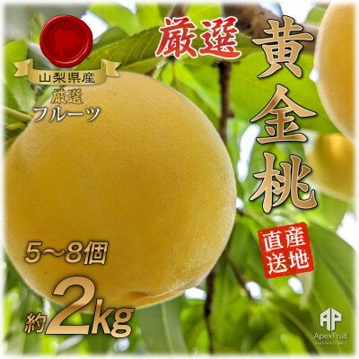【ふるさと納税】【2025年先行予約】山梨市産　黄金桃　約2kg(5～8玉)【配送不可地域：離島】【1431879】