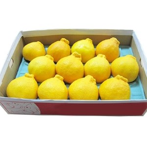 【1月より発送】あまい柑橘!不知火 3kg(7・8玉または10・12玉)段ボール箱入り_果物・フルーツ  柑橘 _【1134445】
