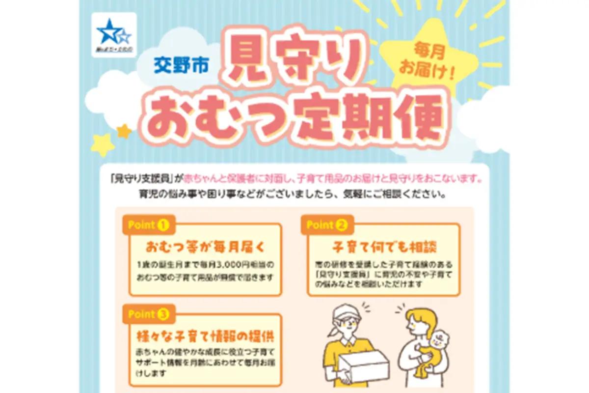 令和8年度見守りおむつ定期便事業【返礼品なし／3万円】 [0602]