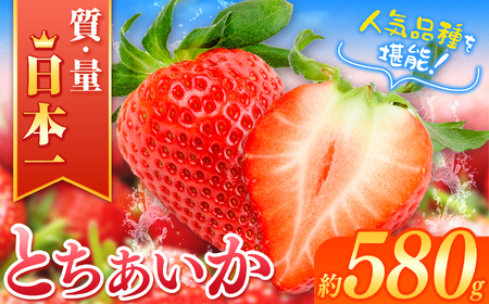 【2025年先行予約】JAはが野厳選！ とちあいか (290g×2パック）約580g 