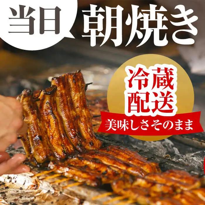 【3回定期便】朝焼きうなぎ蒲焼 4尾 / うなぎ 国産うなぎ うなぎ うなぎ蒲焼 うなぎ蒲焼き 高知県産うなぎ[ATAF089]