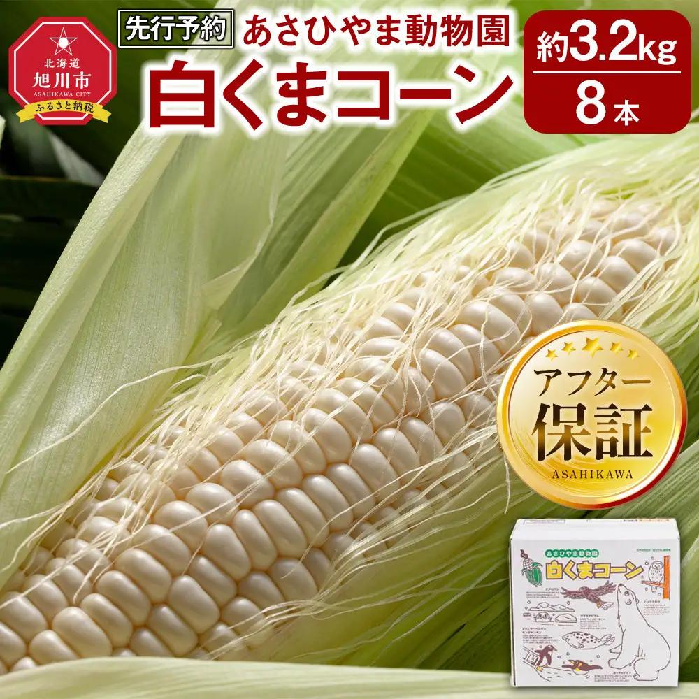 【先行予約】あさひやま動物園しろくまコーン3.2kg(ホワイトレディもしくはピュアホワイト8本)2026年8月下旬から発送開始 | とうもろこし とうもろこし 北海道 _03811
