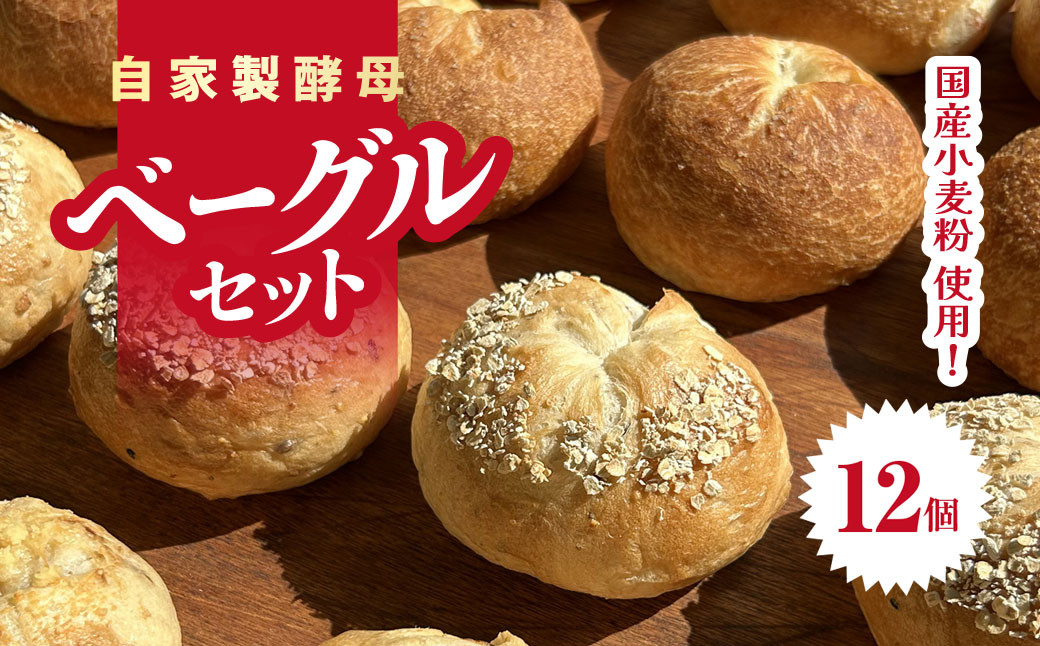
            自家製酵母・国産小麦粉のベーグルセット 12個入り 千葉県 大網白里市 AZ001
          