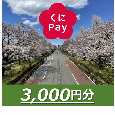 【ふるさと納税】国立市デジタル地域通貨『くにPay』3,000ポイント