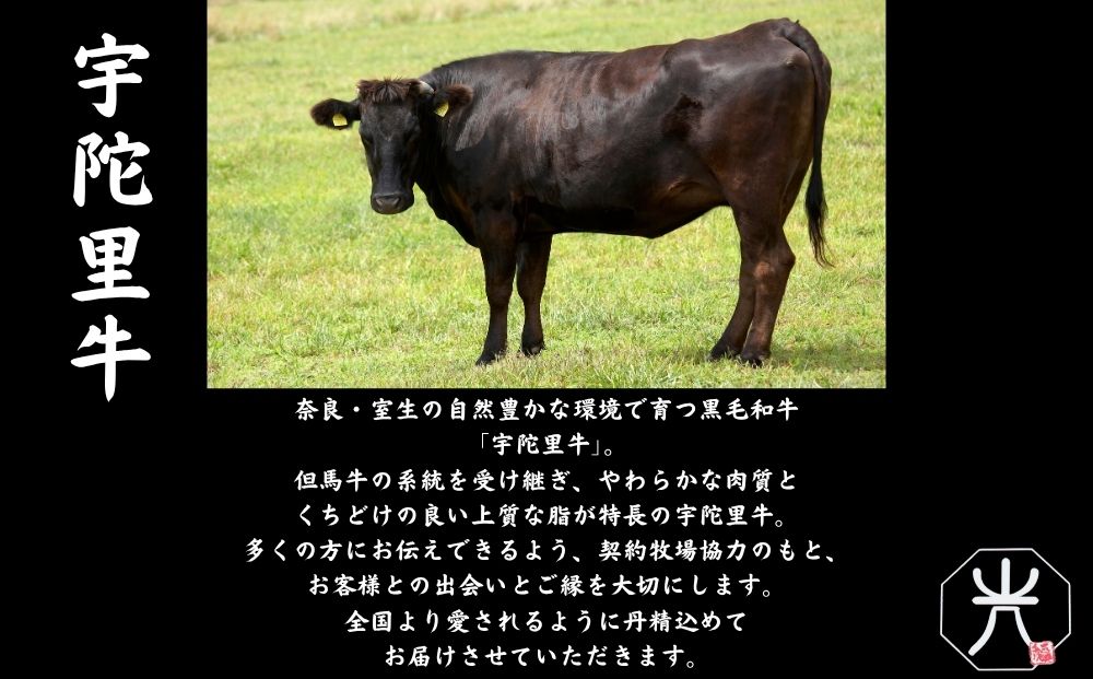 宇陀里牛 BMHセット（ベーコン500g・ミニステーキ2枚・ハンバーグ2個） ／ ふるさと納税 国産 黒毛和牛 牛肉 ステーキ バーベキュー BBQ キャンプ お中元 暑中見舞い お土産 お歳暮 正月