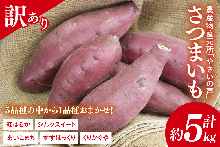 
                  農産物直売所「やさいの声」★訳あり★さつまいも(品種おまかせ) 約5kg｜さつまいも 芋 サツマイモ 訳あり わけあり ワケアリ おまかせ 5kg 紅はるか シルクスイート すずほっくり くりかぐや あいこまち(EK-14)
                