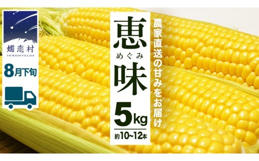 【8月下旬発送開始】 甘～いトウモロコシ 恵味 5kg 約10～12本 とうもろこし 産地直送 羽生田売店 期間限定 先行予約 人気 朝採り お取り寄せ 関東 群馬 先行受付  [AL005tu02]