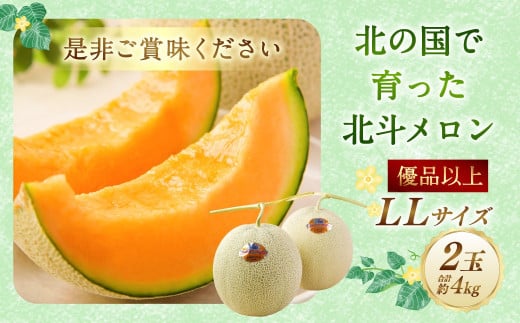 ＜先行受付＞北海道産 北斗メロン「赤肉メロン」〈LLサイズ〉2玉（優品以上／2玉で約4kg）【2025年6月下旬-7月下旬 順次発送予定】メロン 果物 くだもの フルーツ