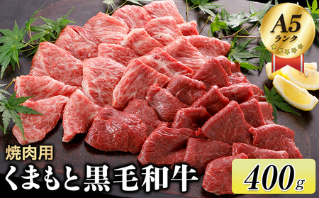 A5ランク 牛肉 くまもと黒毛和牛 焼肉用 400g 長洲501《30日以内に出荷予定(土日祝除く)》