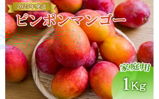 HR02【先行予約】＜2025年発送＞いらぶ島マンゴー園　宮古島産“ピンポンマンゴー”家庭用 / 訳アリ(1kg）