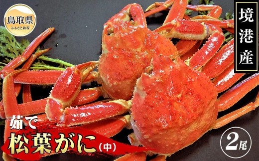 茹で　松葉かに(足欠)　中サイズ2尾入【期間･数量限定】_T2600142 ふるさと納税 鳥取 かに カニ 蟹 海鮮 海の幸 冬の味覚 数量限定