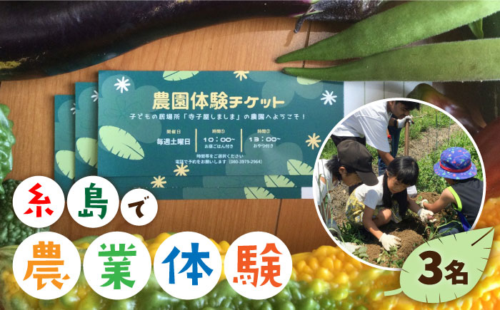 
                  【ふるさと納税】糸島で農業体験(3名) 栽培期間中農薬不使用 無化学肥料 無除草剤の畑で野菜のお世話体験！ [AAL003]
                