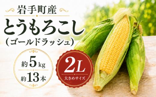 【先行予約】とうもろこし ゴールドラッシュ 2Lサイズ 約5kg 約13本 岩手県岩手町産 スイートコーン トウモロコシ とうきび コーン 野菜 夏野菜 産地直送 2027年発送