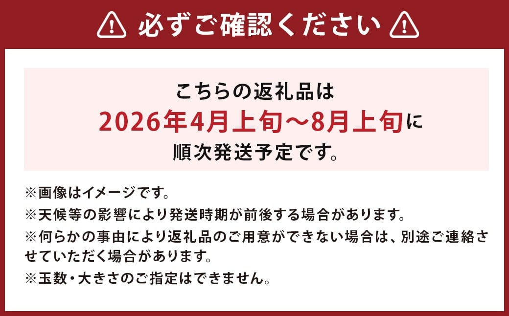 小玉 すいか 2玉入り 3Lサイズ 約3kg【2026年4月下旬～8上旬発送予定】
