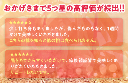 透過式光センサー川中島白桃 特秀3kg相当 9玉～11玉＜ ふくしま未来農業協同組合 ＞ | ふくしま 桃 福島 もも 国見 モモ ※2025年8月中旬頃に順次発送予定 ※沖縄・離島への配送不可