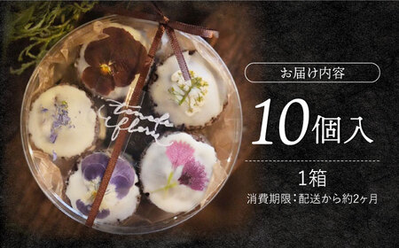 お花のクッキーアソート1ケース（10個入り）＜自然と暮らす　ぐりーん＞[CEM008]