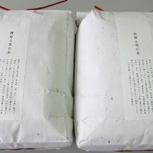 米 お米 【定期便】10kg×6ヶ月 鳥海山の恵み 農家直送！ あきたこまち（玄米・5kg×2袋） 6回 半年 サブスク
