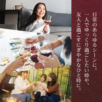 ふるさと納税 笛吹市 プティモンテリア スパークリング 290ml 6本入 缶ワイン モンデ酒造 山梨県 笛吹市 |  | 02