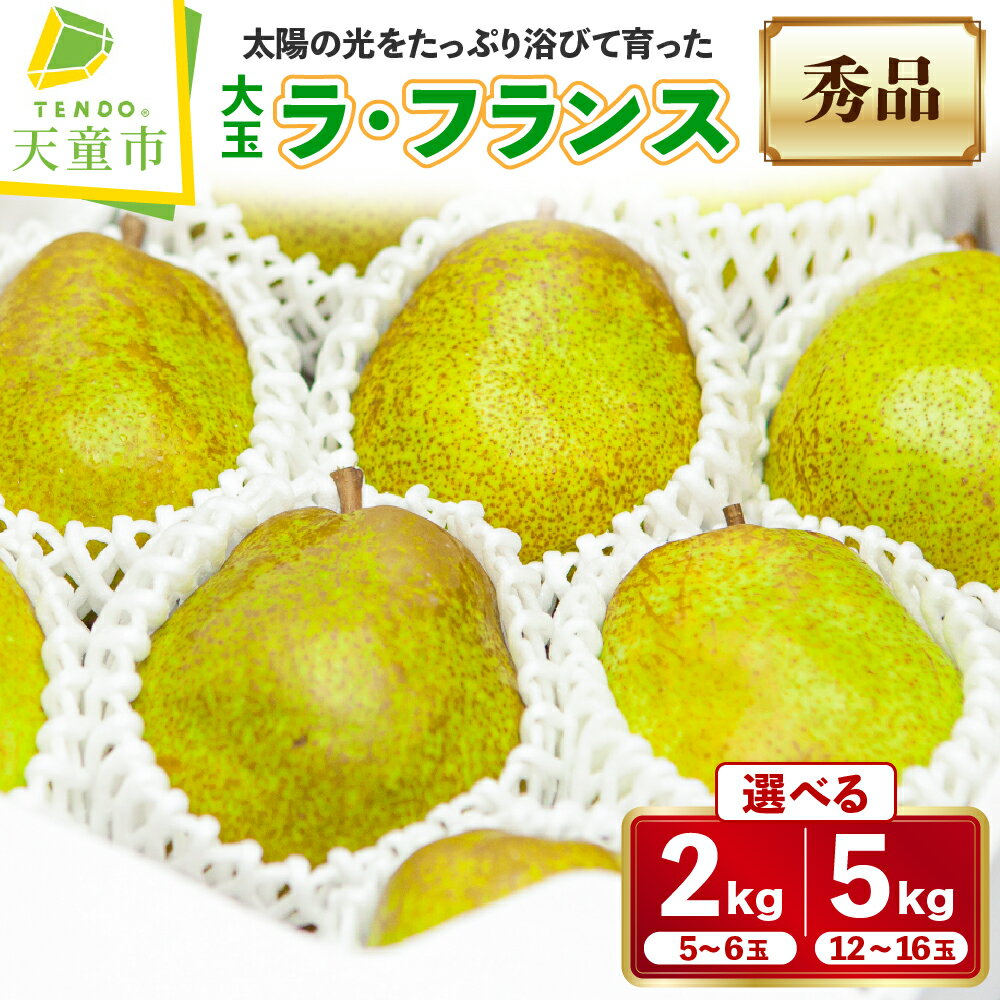 【ふるさと納税】 大玉 ラ・フランス 選べる 2kg / 5kg ラフランス 洋梨 果物 フルーツ 秀 のし 贈答 ギフト プレゼント おすそ分け お取り寄せ 旬 秋 冬 期間限定 送料無料 先行予約 【 山形県 天童市 】