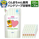 【ふるさと納税】ぐんまちゃん薬用ハンドソープ詰替用(200ml)×36個入り