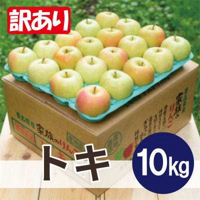 【26年10月から順次発送】平均糖度12度以上! トキ 約10kg 訳あり 青森県産 りんご【配送不可地域：離島・沖縄県】