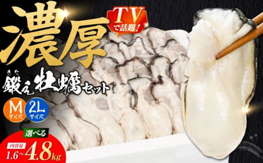 牡蠣 TVで話題！【冷凍】鍛え牡蠣 むき身 M・2Lサイズ セット 約3.2kg 広島県産 かき 人気 海鮮 BBQ 簡単 ギフト 牡蠣 かき カキ 冷凍 江田島市/有限会社寺本水産 [XAE077]