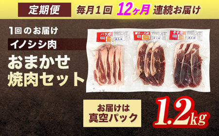 【12回定期便】天然イノシシ肉 おまかせ焼肉セット 1,200g (ロース・モモ・バラ) / ジビエ 猪肉 いのしし肉 ジビエ肉 肉じゃが用肉 イノシシ いのしし焼肉 長崎ジビエ 猪 ぼたん鍋 鍋肉 