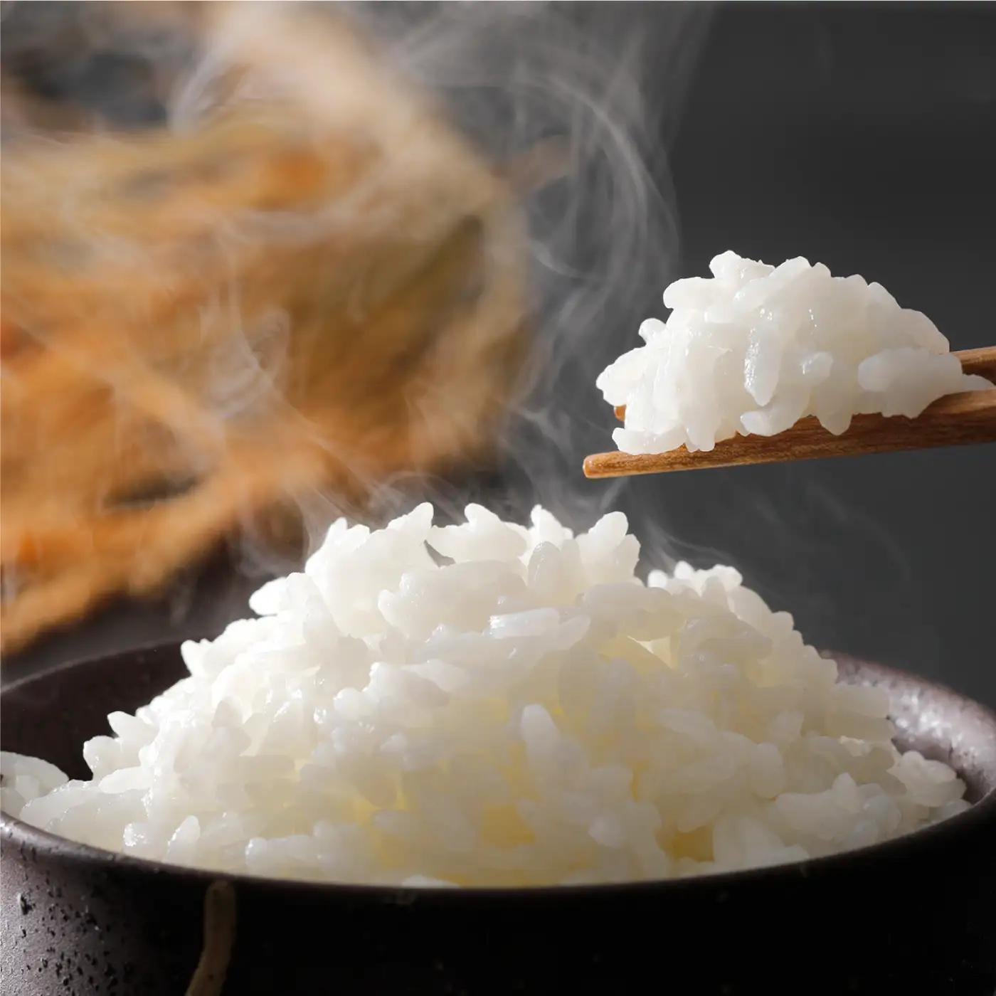 令和7年産 新米 有機JAS 有機於保地米 食べ比べ（コシヒカリ5kg・つや姫5kg）