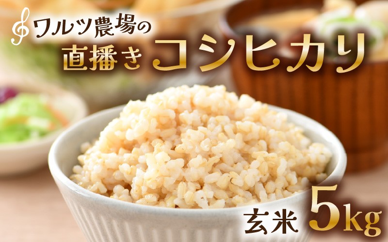 
                  【先行予約】【令和8年産 新米】ワルツ農場の直播き コシヒカリ 玄米 5kg / お米 ご飯  つや 艶 甘味 旨み あわら市産 福井県産 慣行栽培 コメ 北陸 福井県 あわら市 ※2026年10月下旬以降順次発送予定[aw046-a006]
                