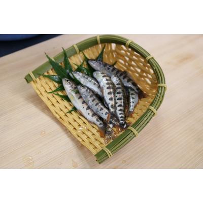 ふるさと納税 馬路村 アメゴの稚魚の甘辛唐揚げ「稚魚ウマ」(冷凍)【483】 |  | 02