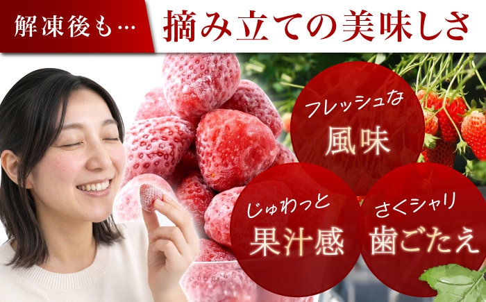 完熟 大粒 いちご イチゴ 冷凍 フローズン フルーツ 果物 ストロベリー 紅ほっぺ 苺 冷凍苺 冷凍いちご デザート