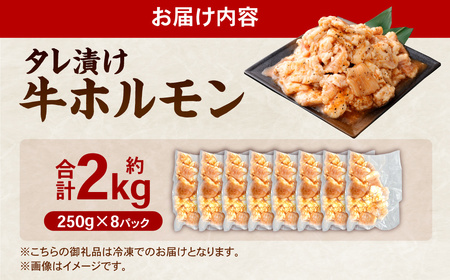 タレ漬け 牛ホルモン 2.0kg （500g×4パック） 牛肉 牛 お肉 肉 たれ タレ ホルモン 焼き肉 焼肉 冷凍