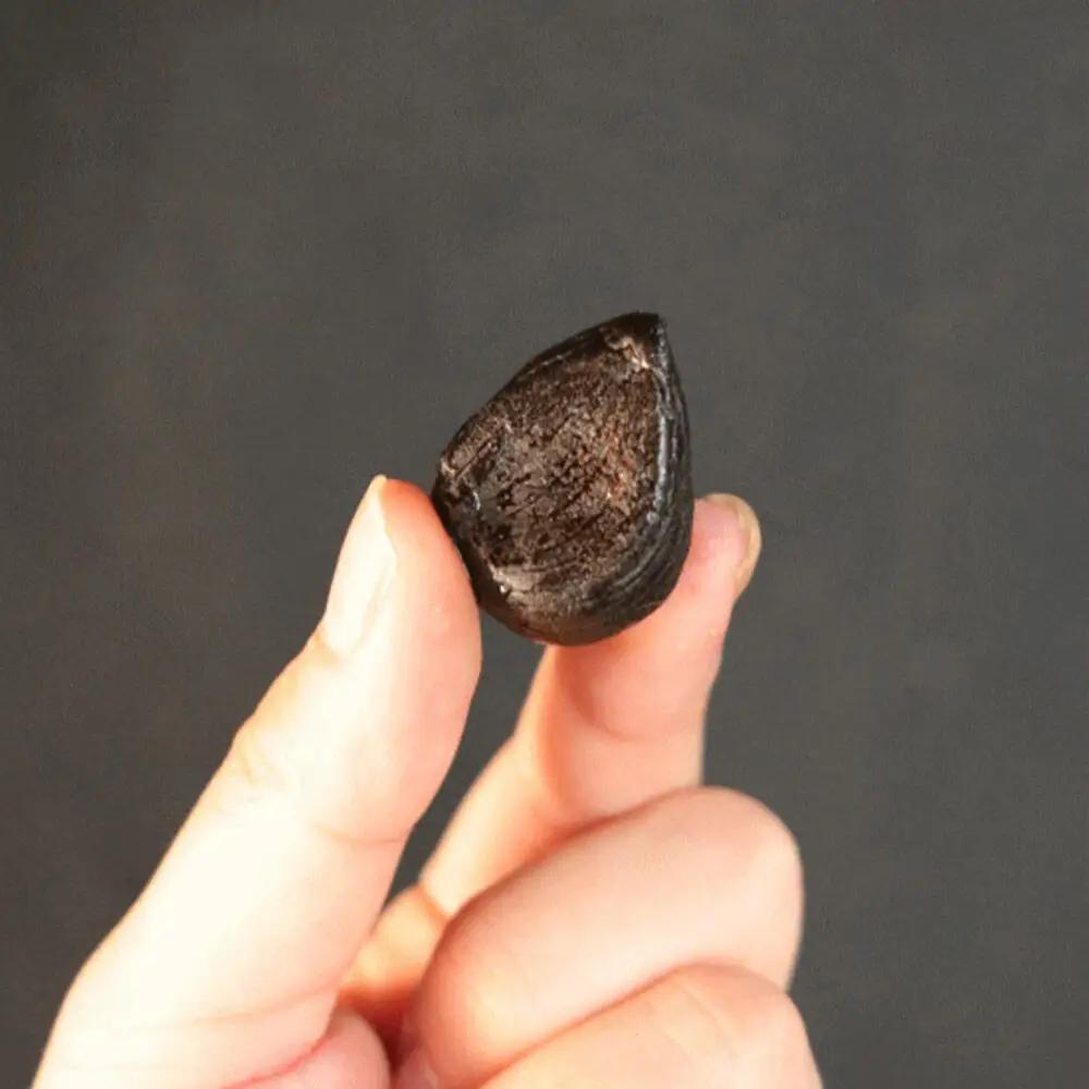 熟成黒にんにく「黒宝」250g 四角カップ 青森県産 添加物不使用 国産ブランドにんにく 福地ホワイト 青森期待の新人商店