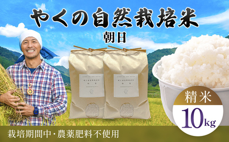 【令和8年産先行予約】 やくの自然栽培米 朝日 10kg 精米 （白米） / 自然栽培米 自然栽培 こめ コメ 米 白米 精米 イセヒカリ いせひかり お米 ごはん やくの 夜久野 京都府 福知山市 FCEV018