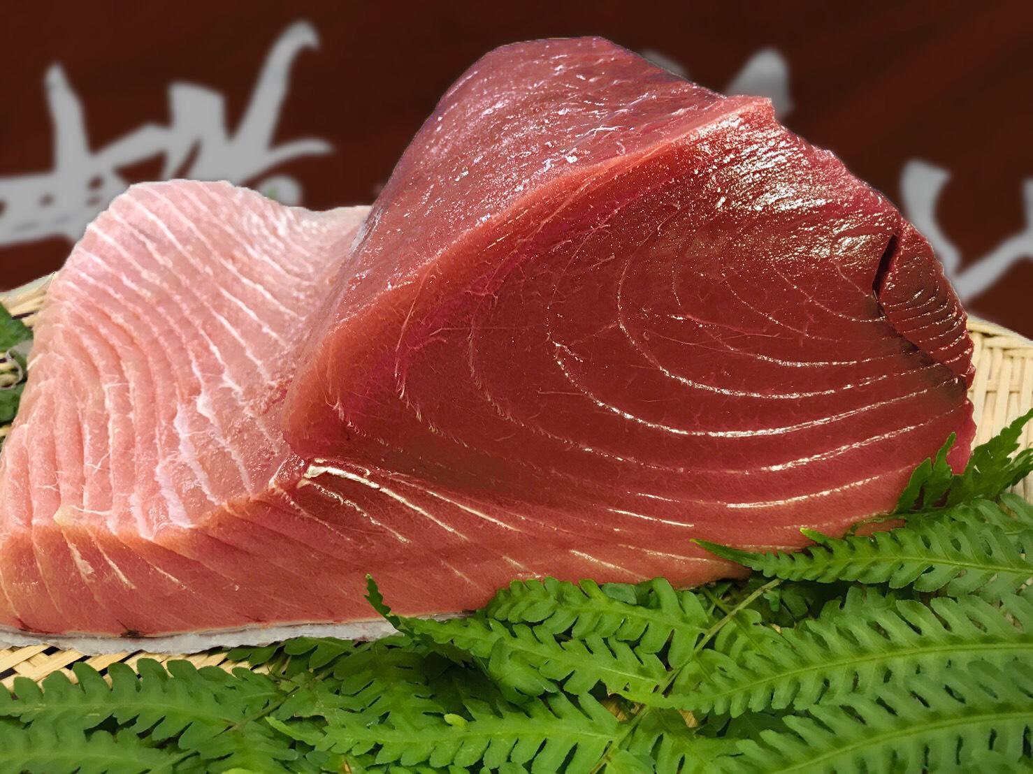 生まぐろの本場紀州勝浦から直送！生メバチマグロ 約1.5kg