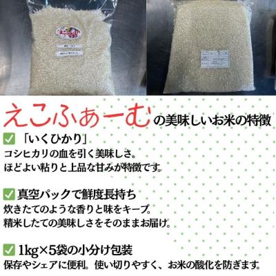 ふるさと納税 肝付町 いくひかり 真空パック詰め (1kg×5袋)　鹿児島 新米 小分け 真空 米　A55021 |  | 01