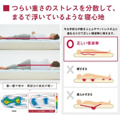 ふるさと納税 高崎市 すばらしきしんぐ【体圧分散オールシーズン敷パッド】 |  | 02
