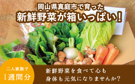 【岡山の旬をお届け！】 真庭あぐり野菜セット 10～11品 便利なカット野菜入り / 産地直送 農家 お試し おためし野菜 岡山県 旬野菜 新鮮 あぐりガーデン 国産 【配送不可地域：離島・北海道・沖