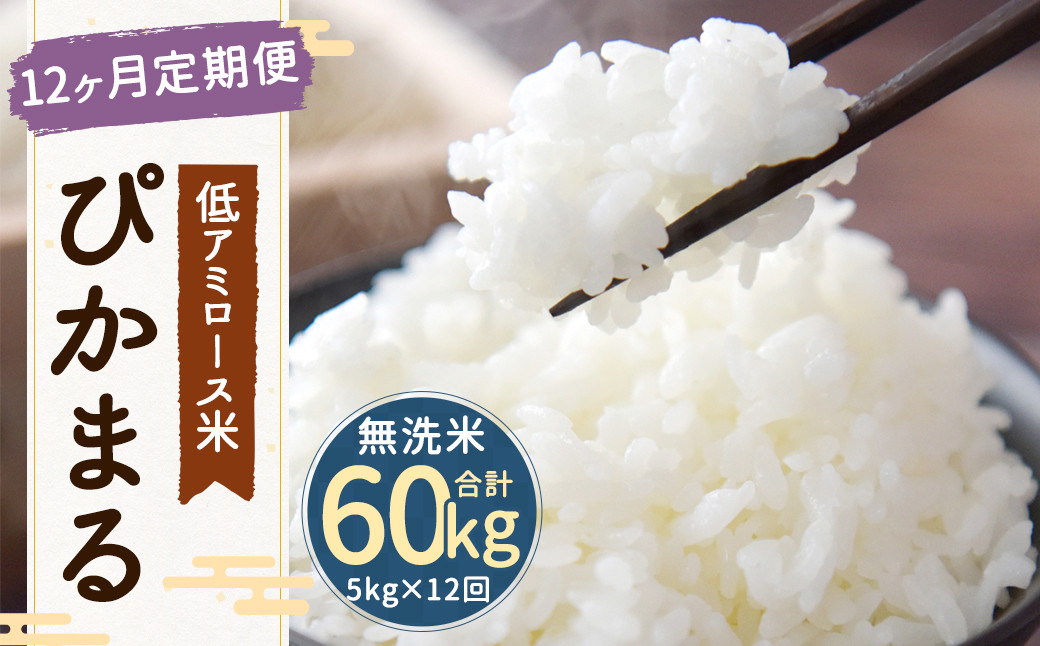 
            【新米先行予約】【12ヶ月定期便】低アミロース米ぴかまる 約5kg×12回 無洗米 計約60kg 【2025年11月より順次発送開始予定】
          