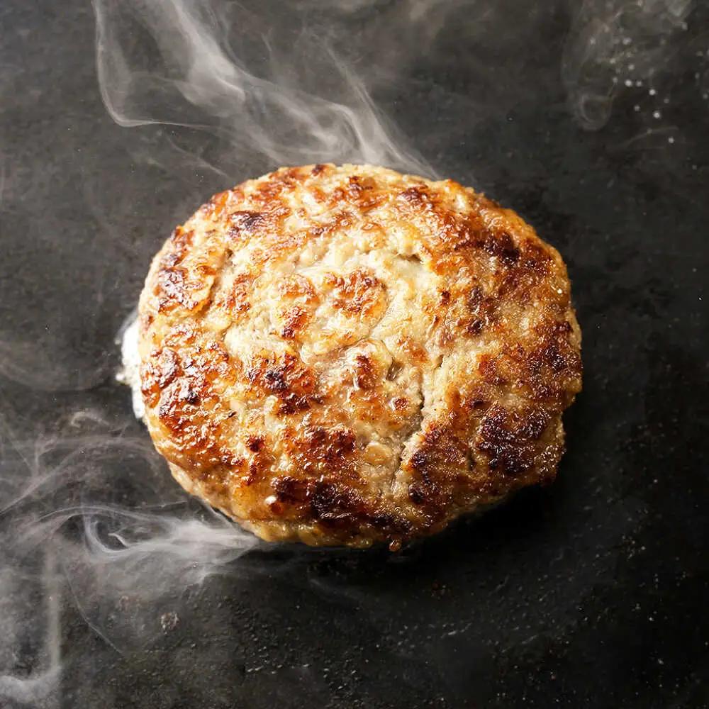 おやじのつくったハンバーグ 120g×8個 佐賀牛 ハンバーグ 吉野ヶ里町/雄勝[FDW001]