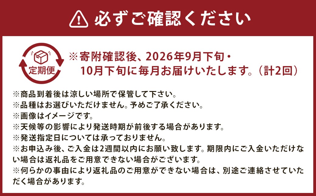 【3ヶ月定期便】 梨 4.5kg