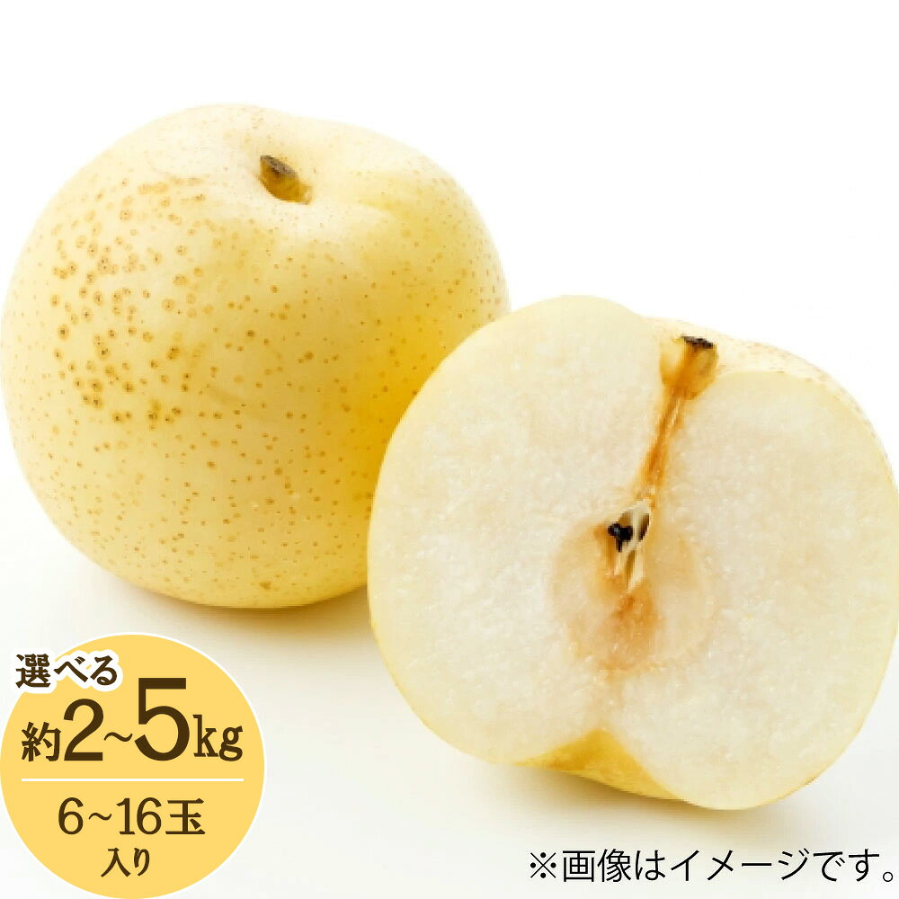 【ふるさと納税】＜選べる内容量＞先行予約 旬の梨（豊水、あきづき梨） 約2kg（6玉～9玉入り） / 約5kg（8玉～16玉入り） なし 梨 ナシ 豊水 あきづき梨 フルーツ 果物 くだもの 果実 冷蔵 国産 九州 熊本県産 熊本市 送料無料 【2026年8月下旬～10月上旬迄発送予定】